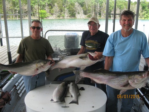 Nice Striped Bass